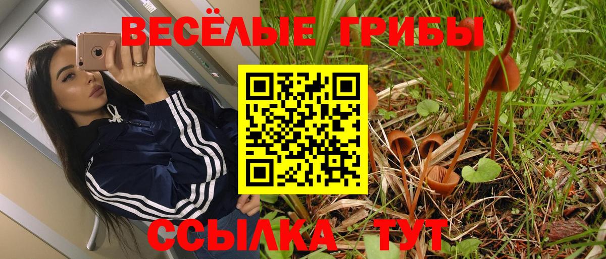 Мичуринск  Галлюциногенные грибы ЛСД  Вход с VPN 