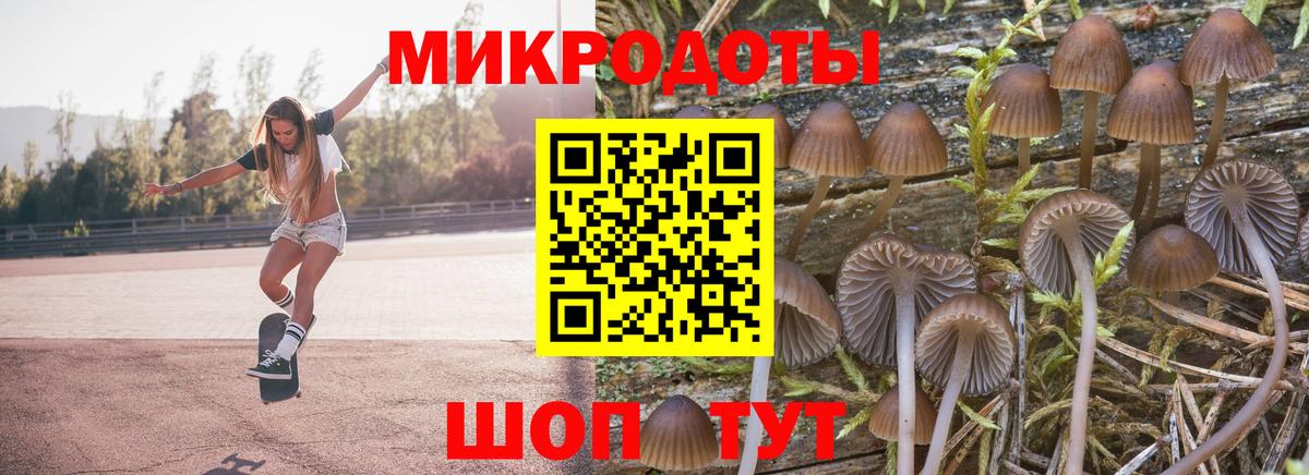 Галлюциногенные грибы Magic Shrooms Мичуринск